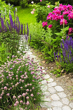 taille_plantes_4.jpg
