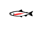 Chinook Dahlia Icon
