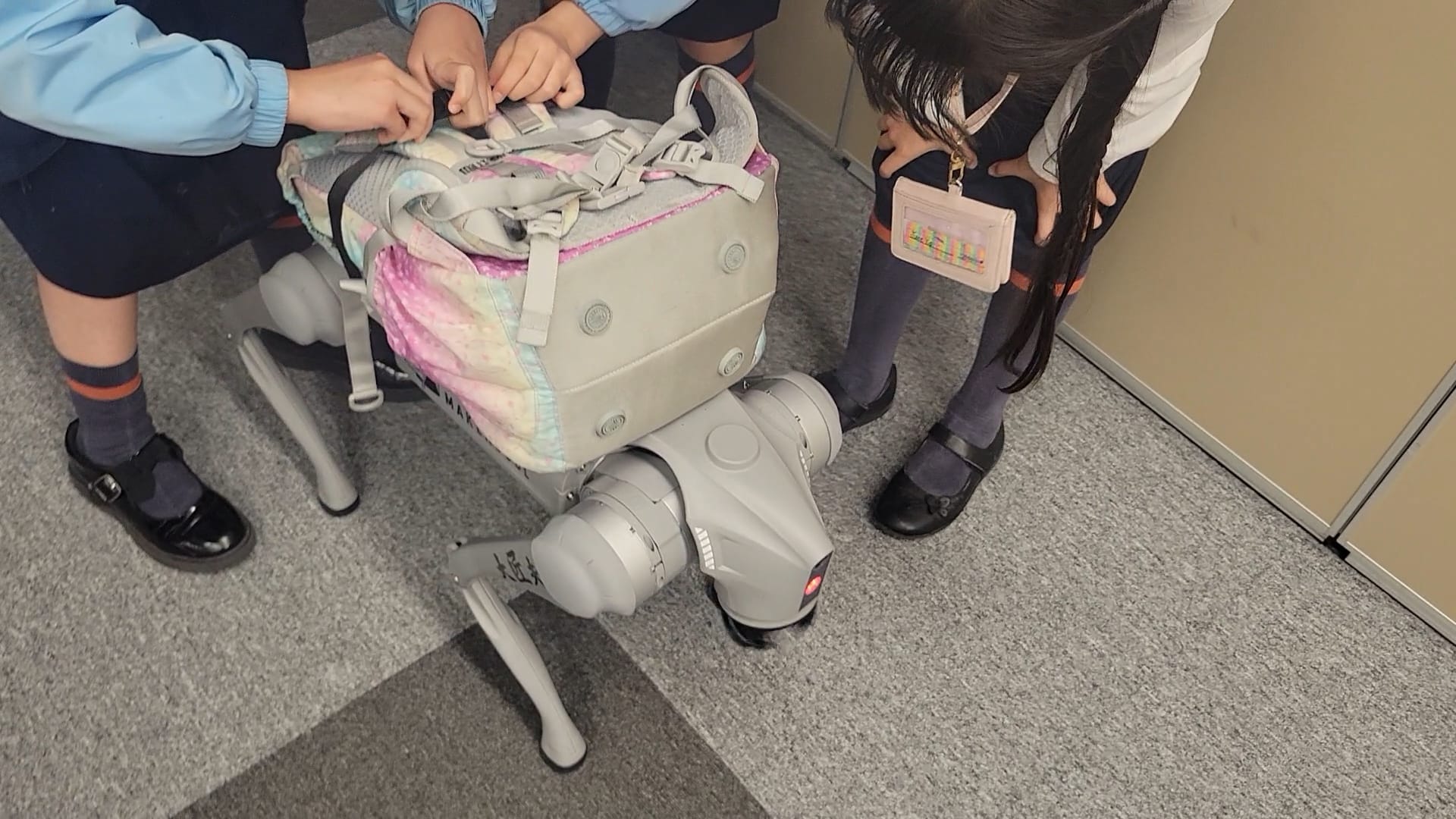 第二組展示