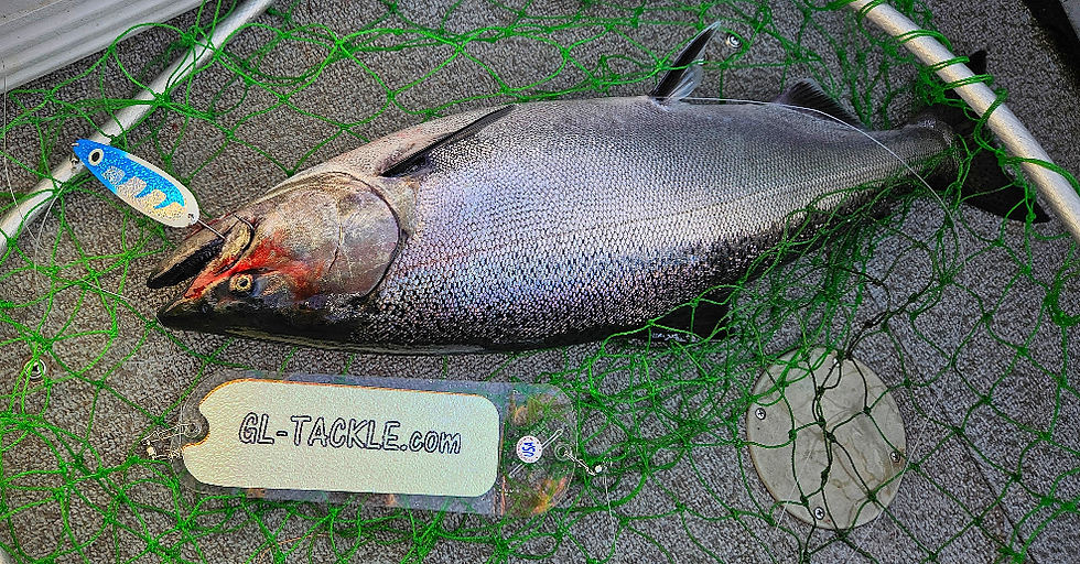 Thumbnail: Alaska Trolling Rigs!