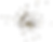 STAR-Glitter.png