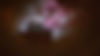 16x9BG.jpg