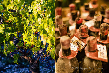 Photo des vignes et des bouteilles de vin dans le livre "Lynch-Bages, une famille, un vin, et 52 recettes" aux éditions Glénat
© Philippe Martineau, photographe culinaire et videaste professionnel à Paris   |  
Photographe célèbre pour son style artistique original, il a été récompensé par 12 prix internationaux.