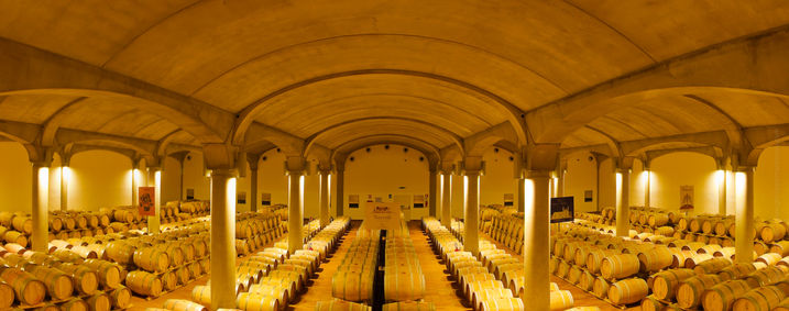 Italie, Cave de Donna Fugata, photo panoramique
| © Philippe Martineau, photographe culinaire et videaste professionnel à Paris |
Célèbre pour son style artistique original, il a été récompensé par 12 prix internationaux.
