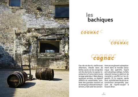 Recettes de cocktails dans le Chapitre Les Bachiques Cognac, du livre Apéro Attitude, écrit par Deborah Rudetzki, et illustré par Philippe Martineau, photographe culinaire et videaste professionnel à Paris  |  
Photographe célèbre pour son style artistique original, il a été récompensé par 12 prix internationaux.