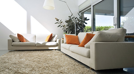 area rug in living room