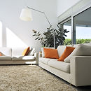 Carpet Cleaning