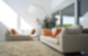 DE supplier in Malaysia to kill bed bugs