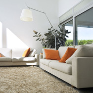 Carpet Inspiration
