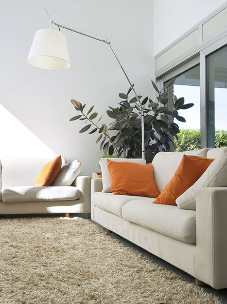 Residential Carpet Cleaning