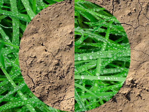 Durée : 5'17" - Tempo rapide (177)