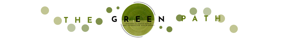 Untitled (150 x 20 cm)