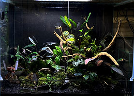 S__98312210_edited.jpg