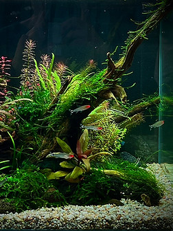 S__98304009_edited.jpg