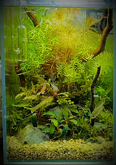 S__98304013_edited_edited.jpg
