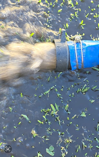 water tank cleaning stanthorpe tenterfield warwick