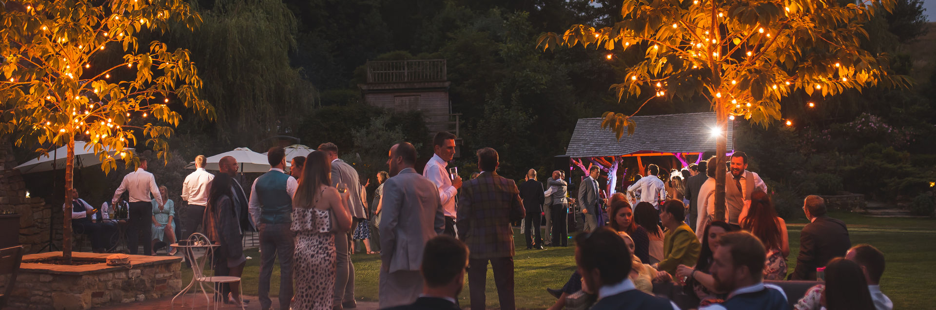 lambs leap lawn at night