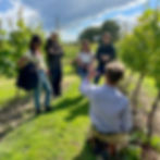IMG_7459VINEYARD TOUR