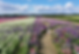 Screenshot 2023-04-19 at 17.03.43