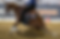 Screenshot 2024-10-30 104703.png