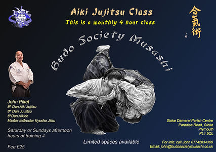 Monthly Aiki Jujitsu class.jpg