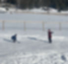Playing ice hockey on our frozen driveway 