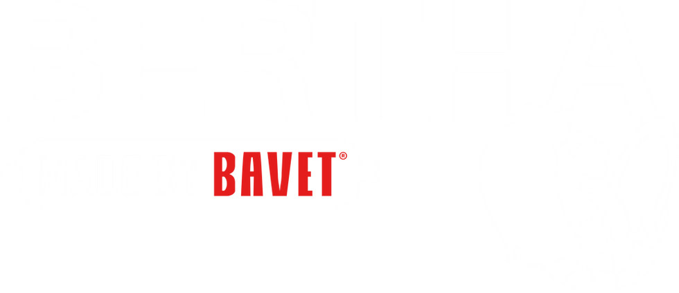 Bertha_LogoMetIllustratieMetMBB_Wit (1).png