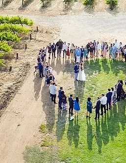 drone-group-shot-at-ekhidna-wines.webp