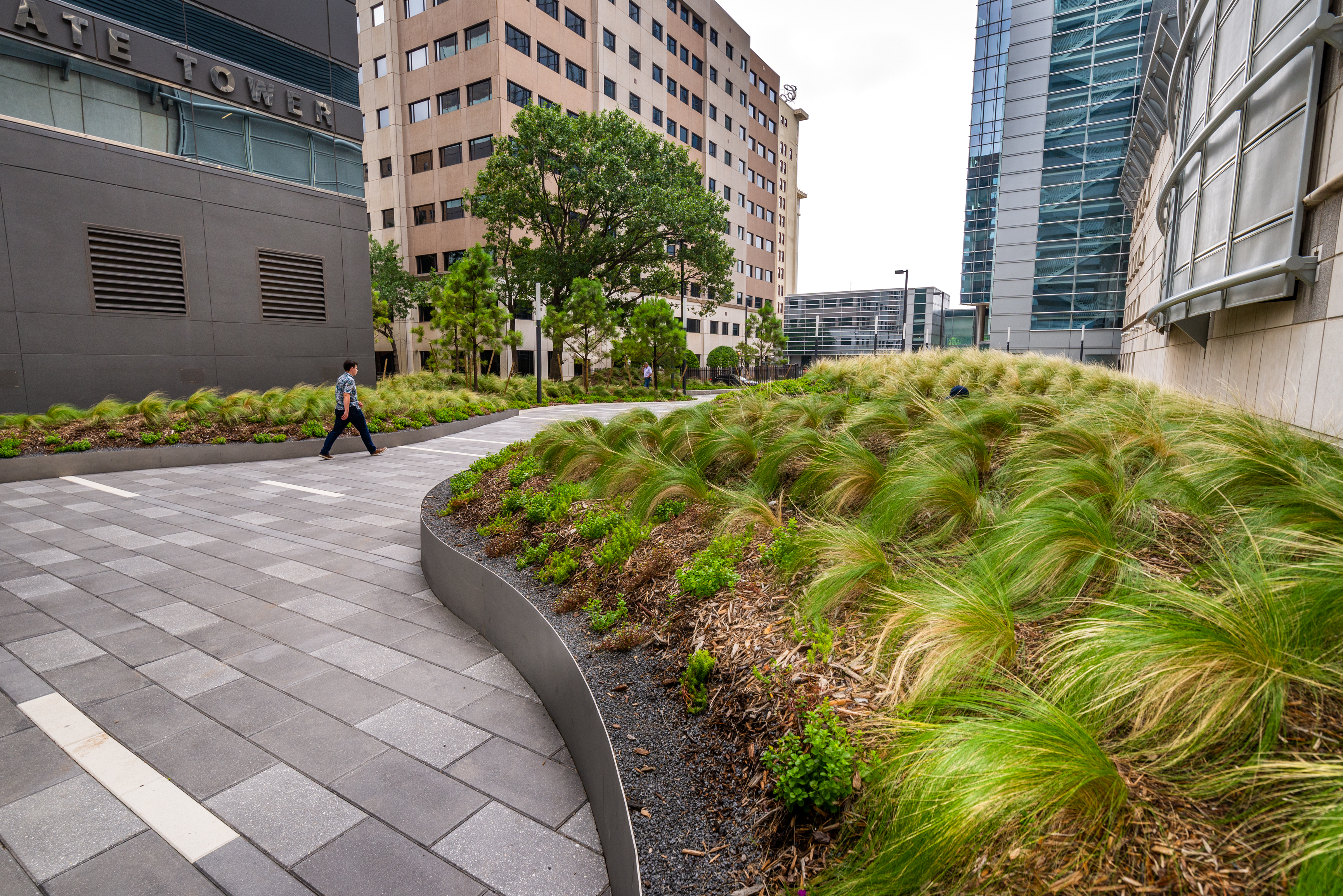 Pedestrian Plaza