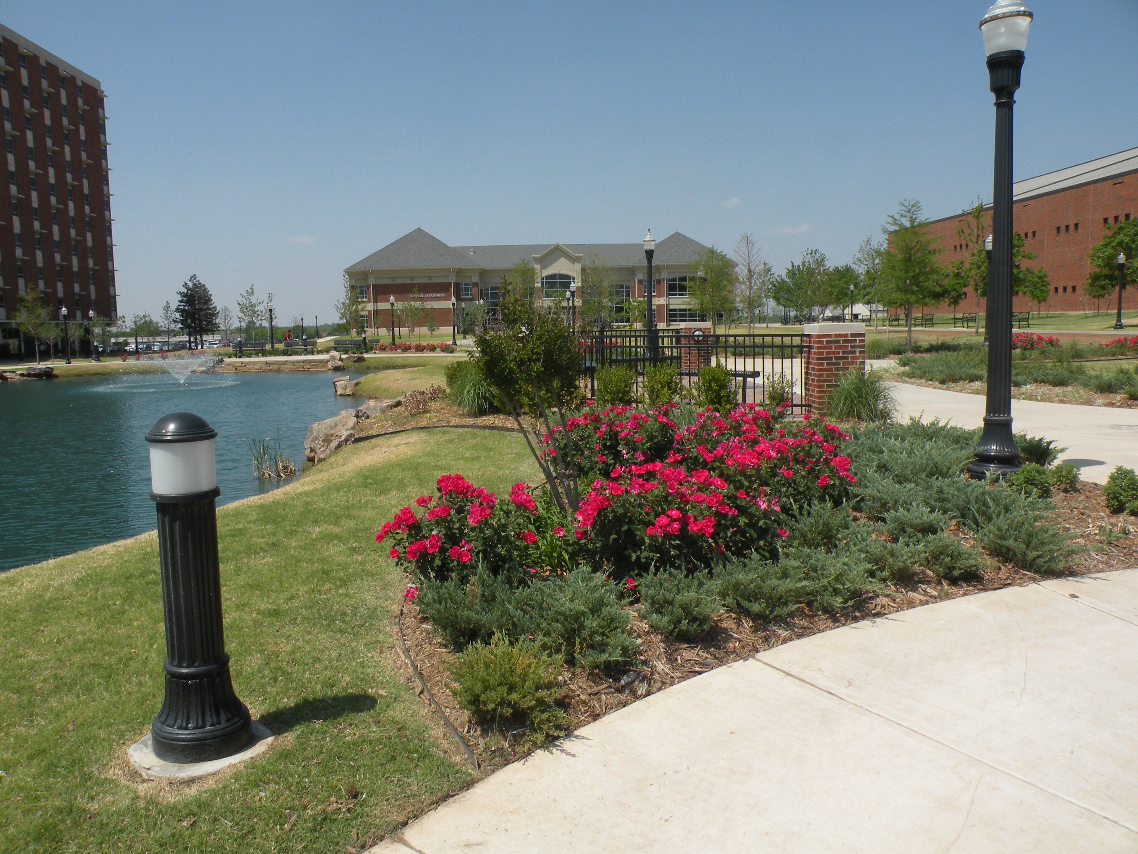 Cameron University