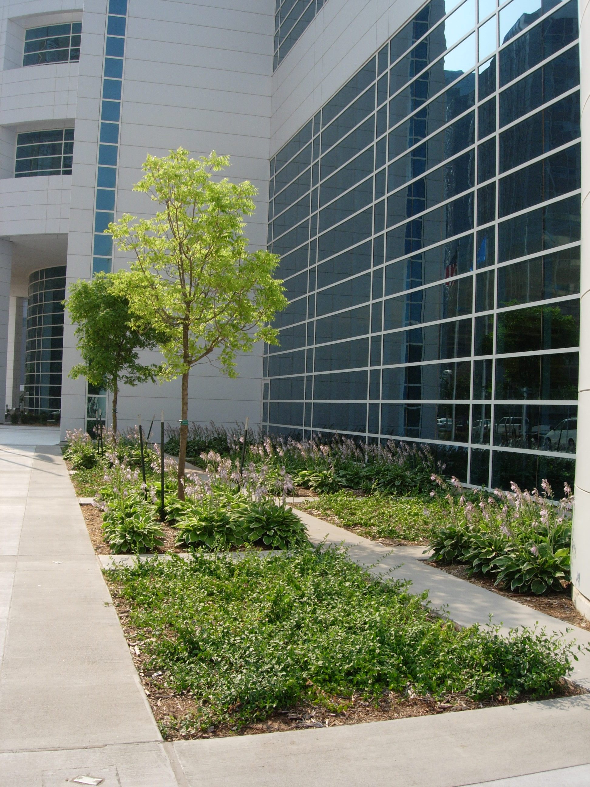 Norick Library