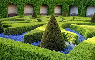 Topiary Design