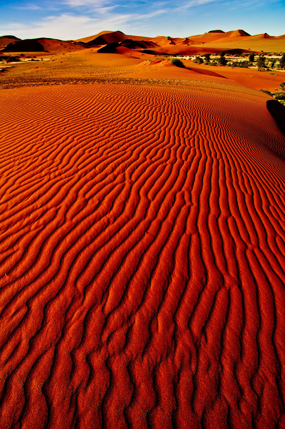 Namib Desert - Namibia