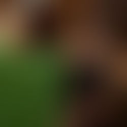 A bishop in green robes blesses a young man in a church, touching his forehead. The congregation is visible in the background.