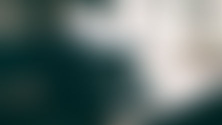 When Life Doesn’t Go as Planned: Lessons from Walker Percy, Flannery O’Connor and Motherhood