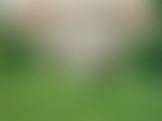 A couple in vintage attire walks on a lawn before a grand mansion. The woman holds a parasol. The setting is lush with green hedges.