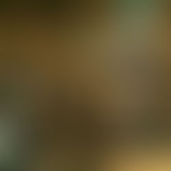 A group of men in robes gathered around a table, engaged in discussion. One holds a book up, gesturing. The setting is an ornate hall.