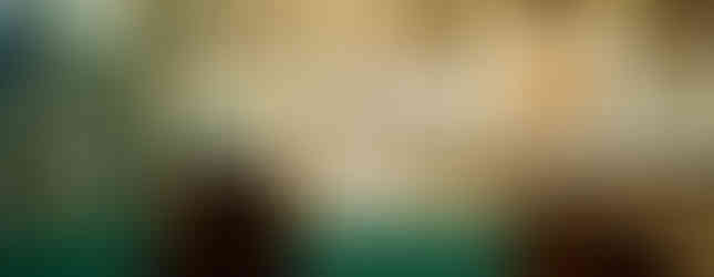 A priest raises the Eucharist at a church altar adorned with candles and greenery. The setting is ornate, with a congregation in the foreground.