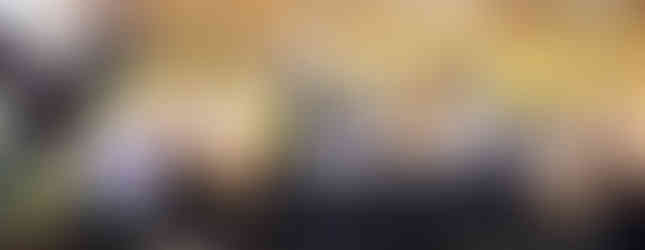 Children in hard hats and plaid uniforms sing outdoors, some in orange vests. A brick building forms the background. Mood is lively.