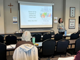 Woman presents to a small group in a conference room with a screen displaying "Promise to Protect, Pledge to Heal." Attentive audience.