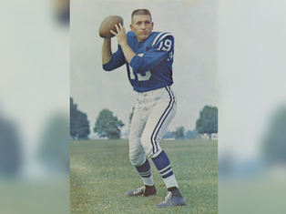Football player in blue jersey number 19 poised to throw a football on a grassy field. Trees and a clear sky in the background.