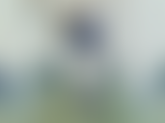 Football player in blue jersey number 19 poised to throw a football on a grassy field. Trees and a clear sky in the background.