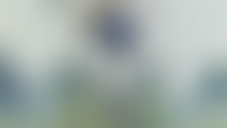 Football player in blue jersey number 19 poised to throw a football on a grassy field. Trees and a clear sky in the background.