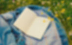 Open book on a blue denim jacket amidst yellow and pink wildflowers on grass. Calm outdoor setting with a relaxed vibe.