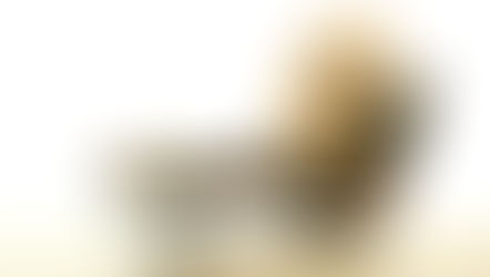 Cute plush toy with rabbit ears, smiling on a black leather chair with a matching footrest. Minimalist white background.