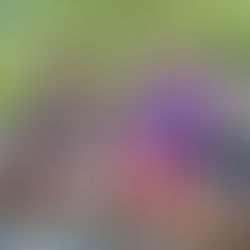 Smiling adults and children sit on a wooden bridge over a stream in a lush, green park. Bright and cheerful atmosphere.