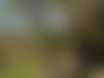 Red Wednesday in the Land of the Martyrs