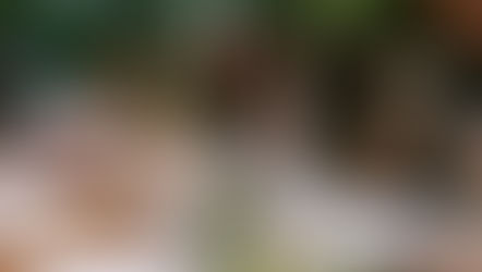 People sitting at a table outdoors, holding hands in prayer. Plates and glasses present, soft focus, greenery in the background.