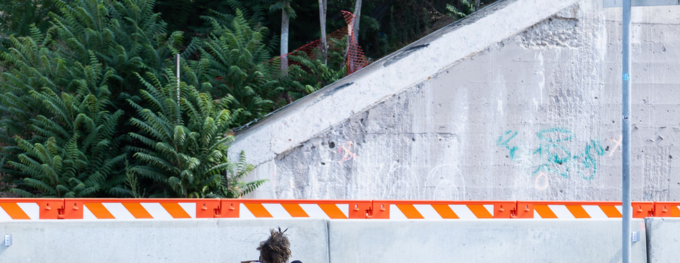 Person sitting on the sidewalk by a concrete barrier with orange stripes, near a road and trees. A bottle of water is beside them.