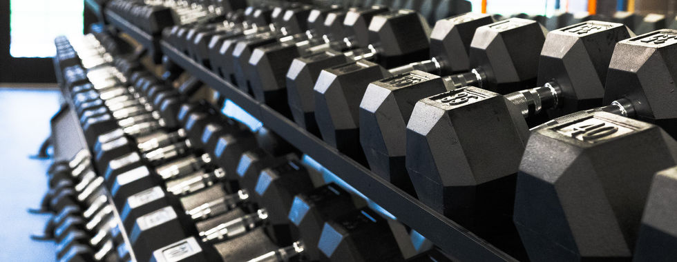 Dumbbells on black racks in a brightly lit gym. Windows in the background. Weights have visible numbers and a polished look.